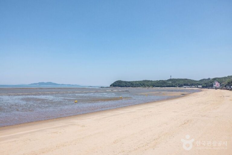 [예스키즈존] 장경리해수욕장