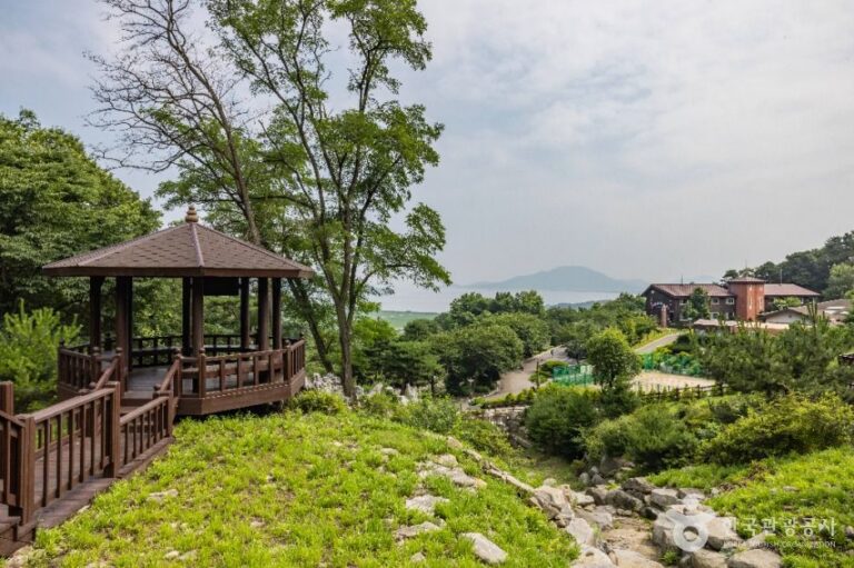 [예스키즈존] 석모도 자연휴양림