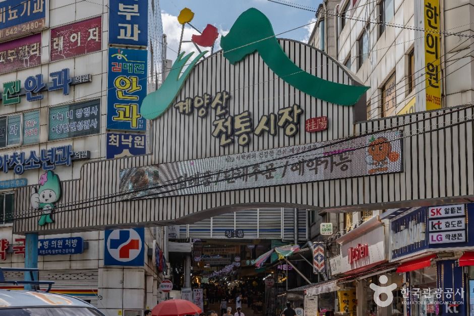 yeskids 1773347531 177 예스키즈존 탐험대 : 실패 없는 육아여행