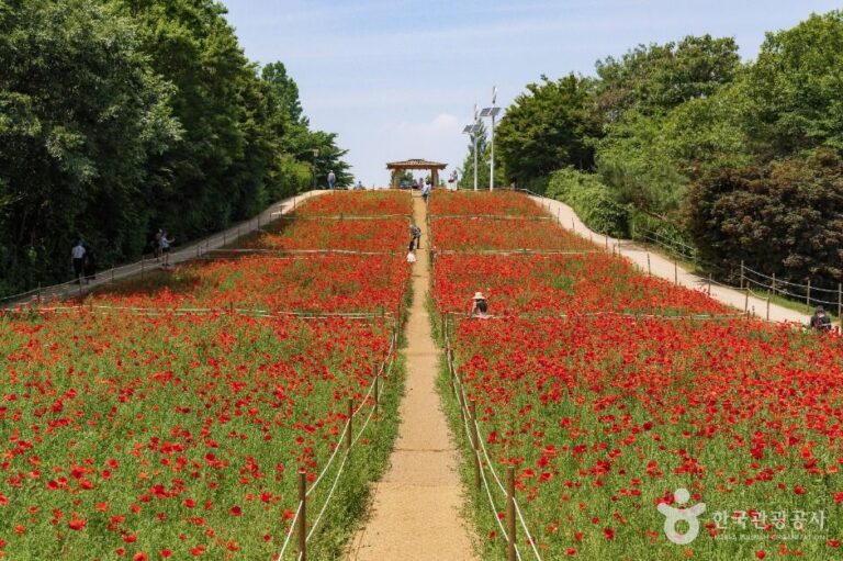 [예스키즈존] 올림픽공원 들꽃마루