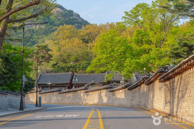 [예스키즈존] 청와대 앞길