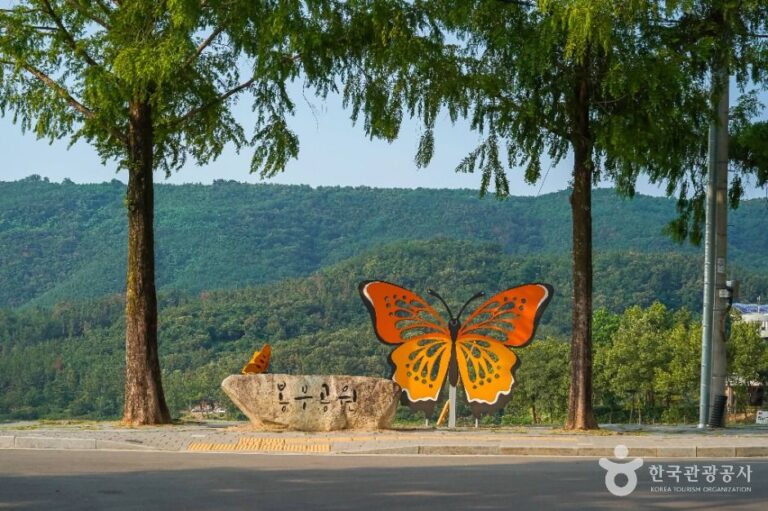 [예스키즈존] 봉무공원