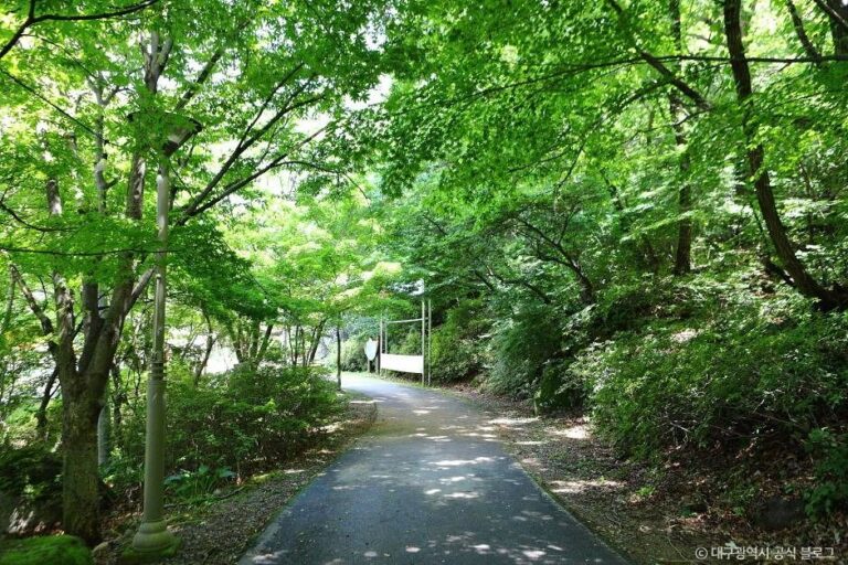 [예스키즈존] 비슬산자연휴양림