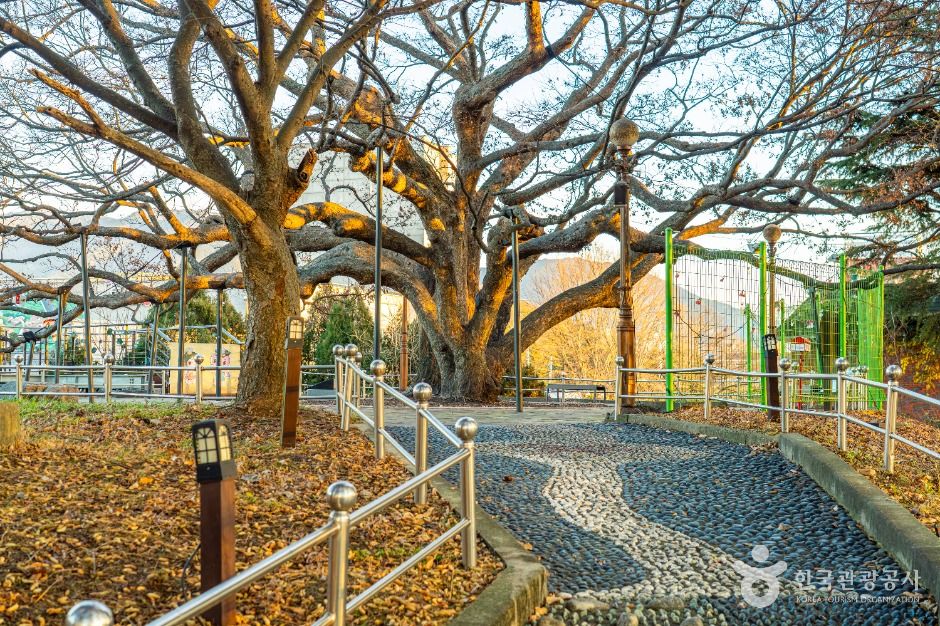 yeskids 1773433549 591 예스키즈존 탐험대 : 실패 없는 육아여행