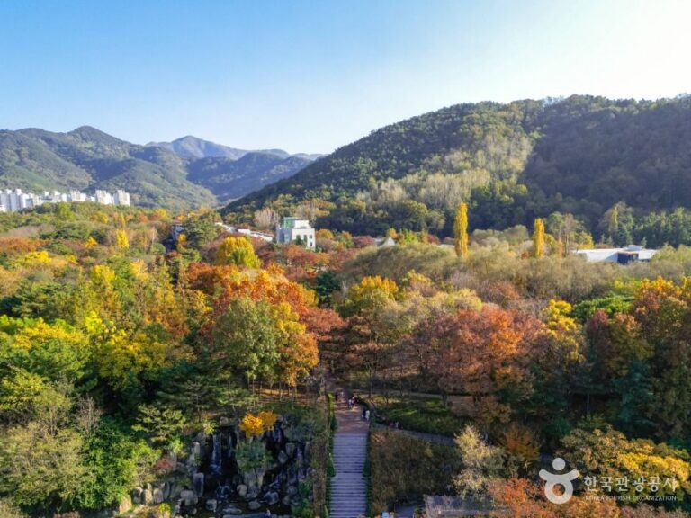 [예스키즈존] 대구두류공원