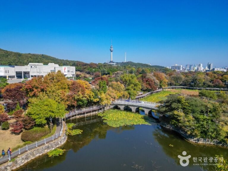 [예스키즈존] 성당못