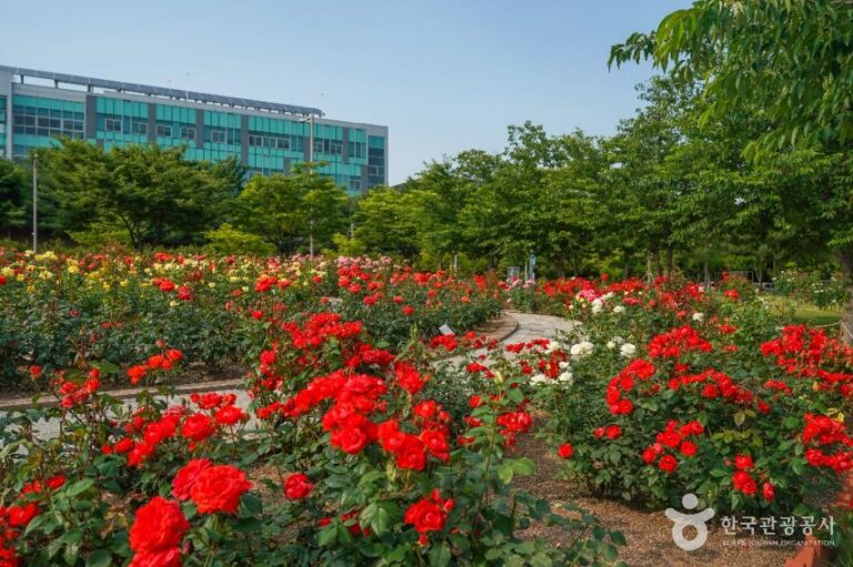 [예스키즈존] 신서 중앙공원