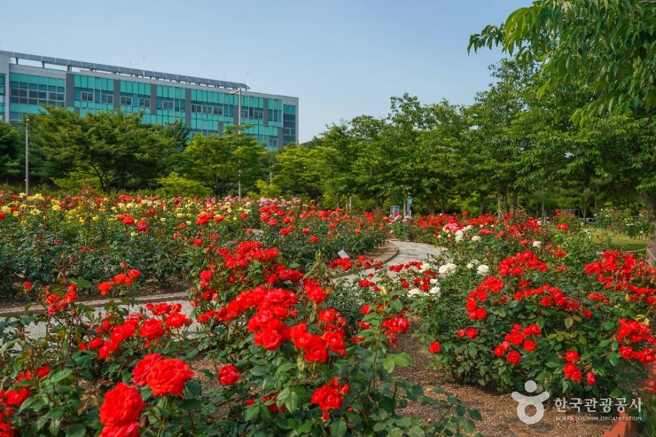 yeskids 1773433799 232 예스키즈존 탐험대 : 실패 없는 육아여행