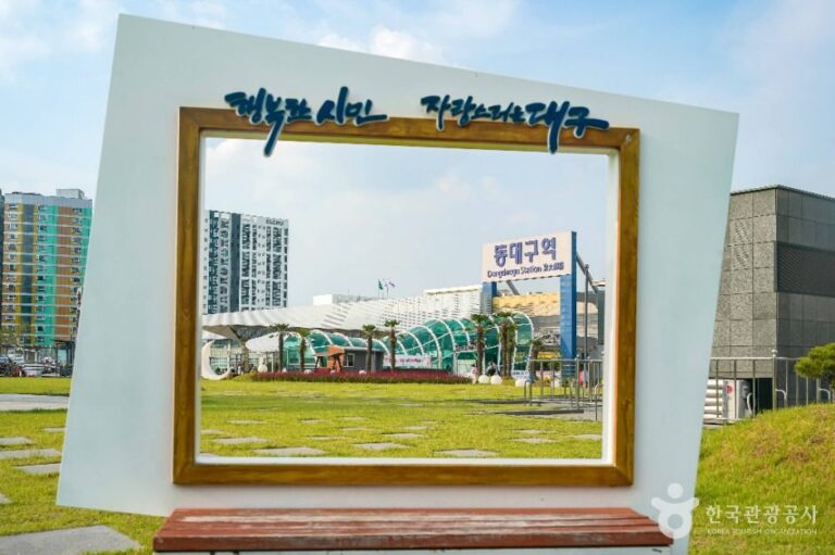 [예스키즈존] 동대구역광장