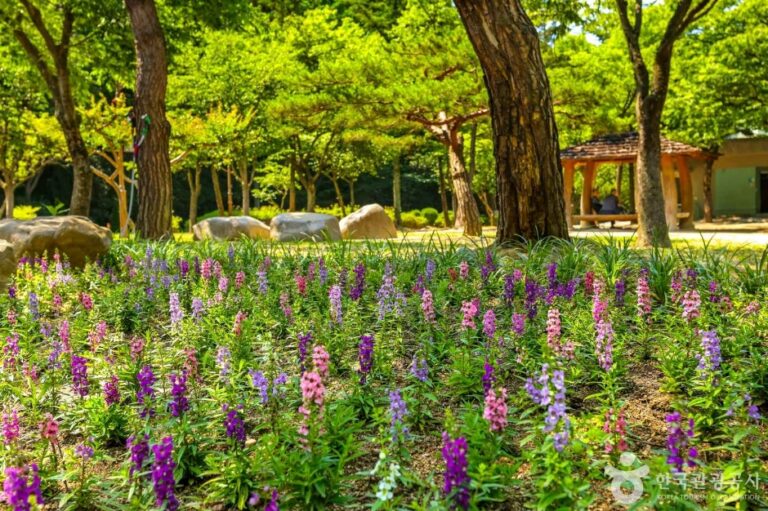 [예스키즈존] 대구앞산공원