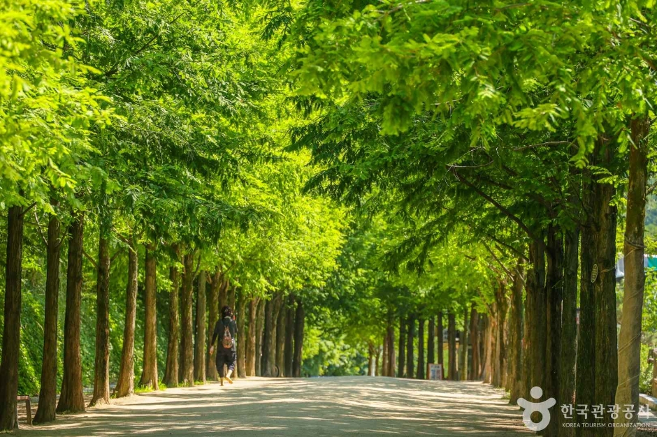 yeskids 1773434339 737 예스키즈존 탐험대 : 실패 없는 육아여행