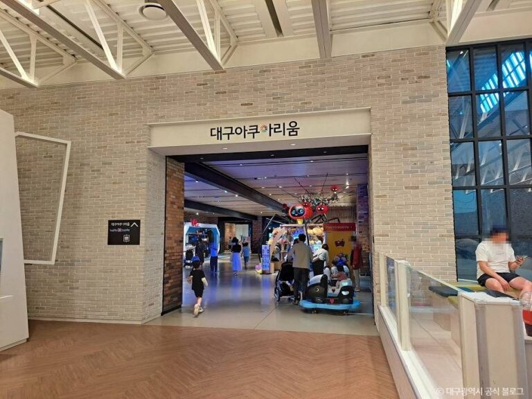 [예스키즈존] 대구 아쿠아리움