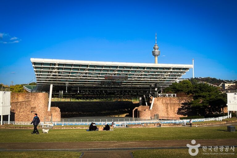 [예스키즈존] 대구 코오롱 야외음악당