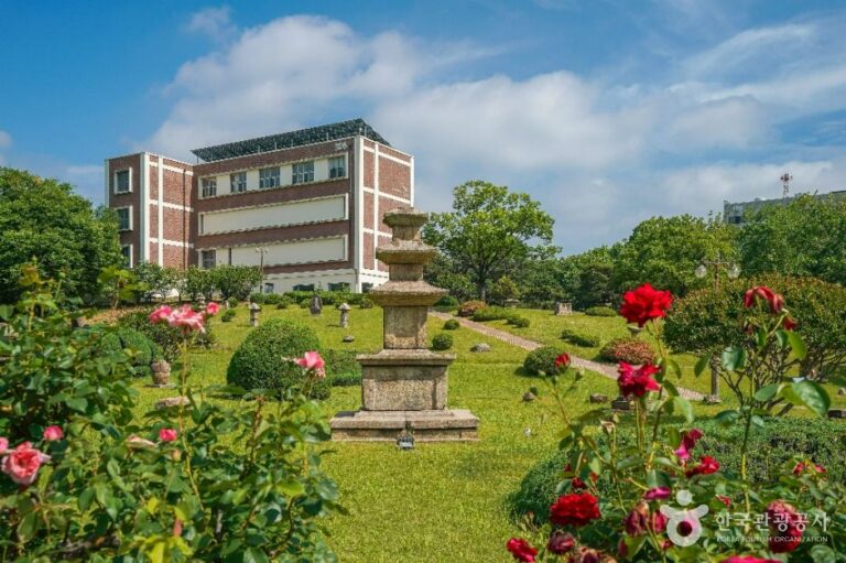 [예스키즈존] 경북대학교박물관