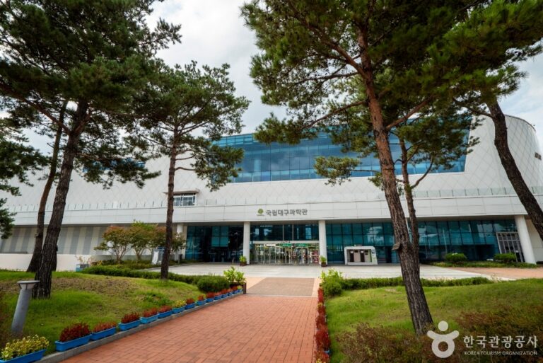 [예스키즈존] 국립대구과학관