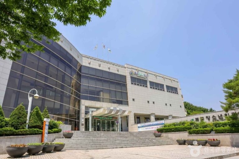 [예스키즈존] 대구북구청소년회관 아트홀