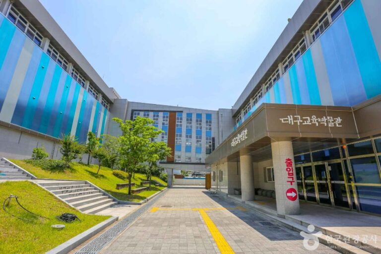 [예스키즈존] 대구교육박물관