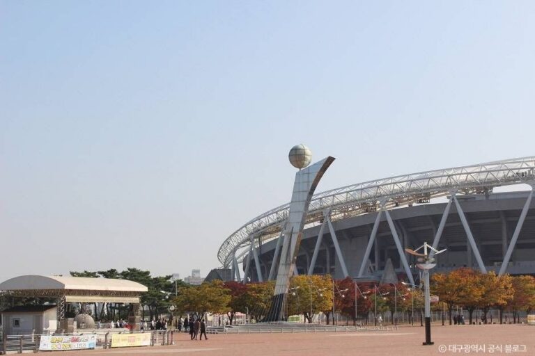 [예스키즈존] 대구스타디움