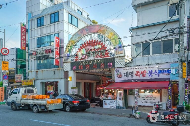 [예스키즈존] 대명시장