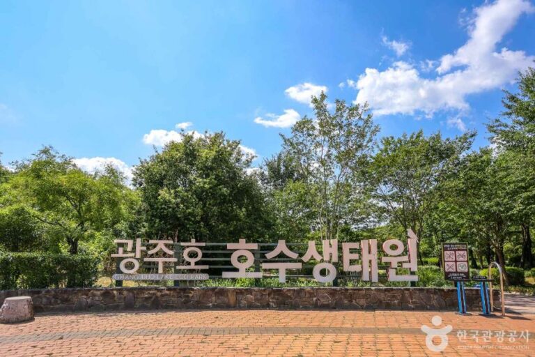 [예스키즈존] 광주호