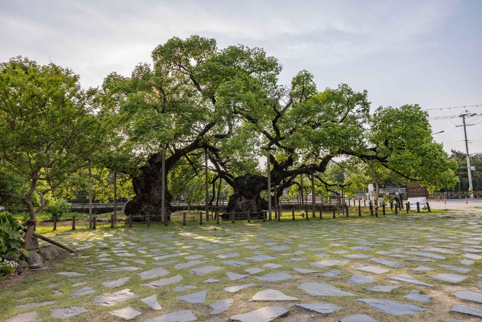 yeskids 1773606122 440 예스키즈존 탐험대 : 실패 없는 육아여행