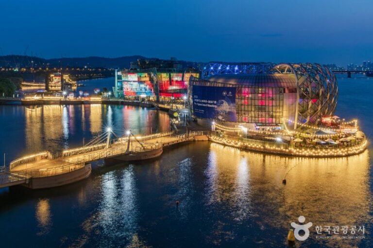 [예스키즈존] 세빛섬