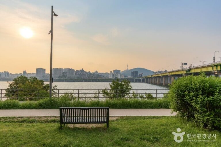 [예스키즈존] 잠원한강공원