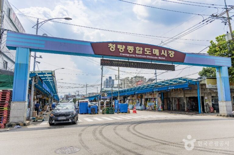 [예스키즈존] 청량종합도매시장