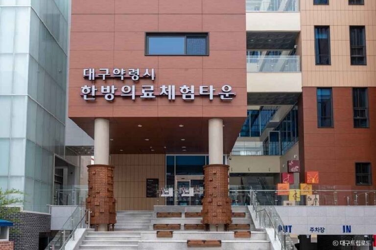 [예스키즈존] 대구약령시 한방의료체험타운