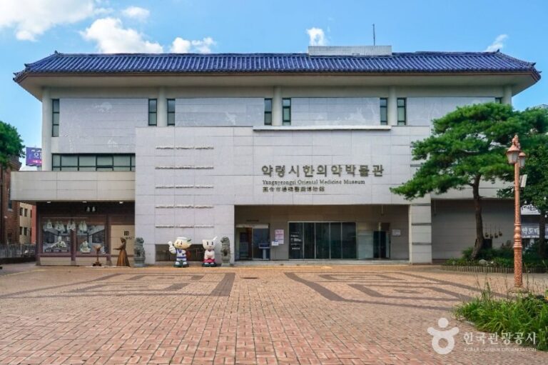 [예스키즈존] 대구 약령시 한의약박물관