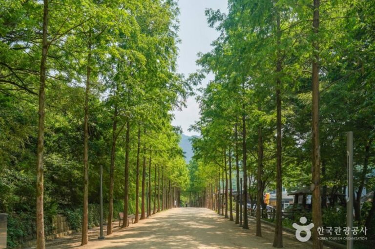 [예스키즈존] 앞산자락길