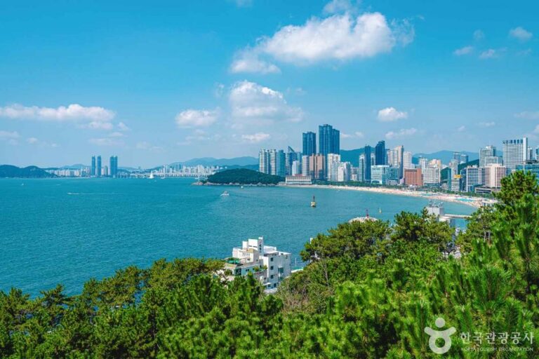 [예스키즈존] 해운대 달맞이길