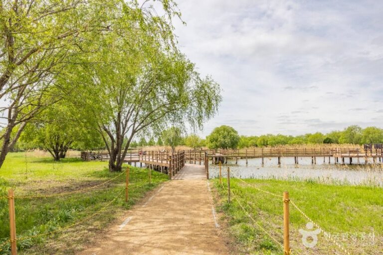 [예스키즈존] 화명생태공원