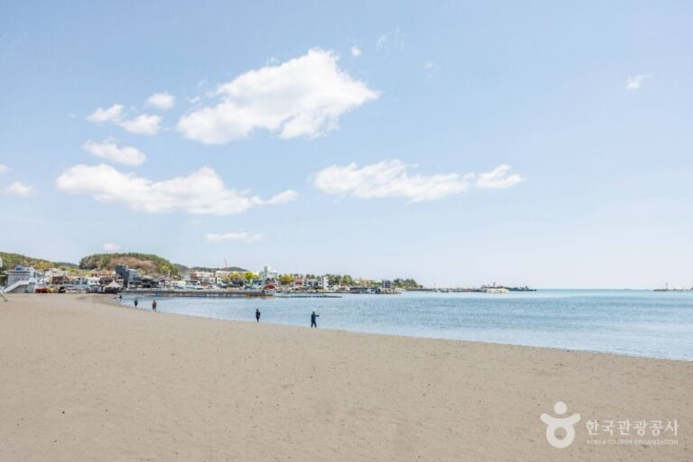 [예스키즈존] 일광해수욕장