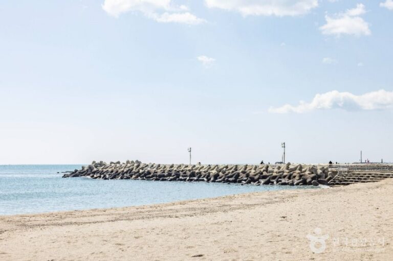 [예스키즈존] 임랑해수욕장