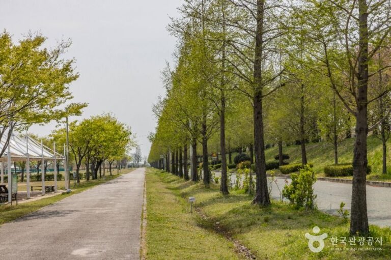 [예스키즈존] 맥도생태공원