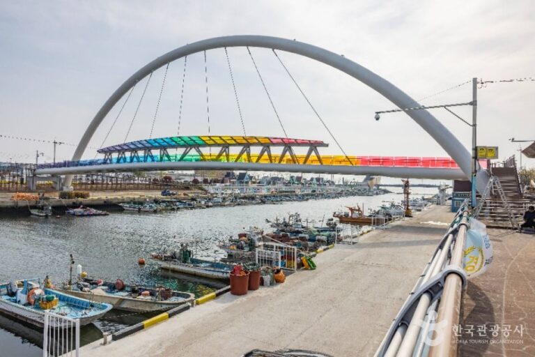 [예스키즈존] 장림포구