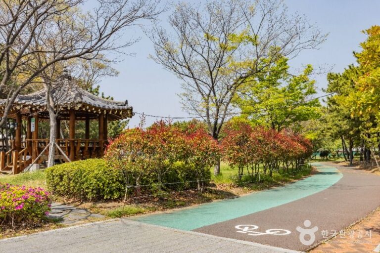 [예스키즈존] 신호공원