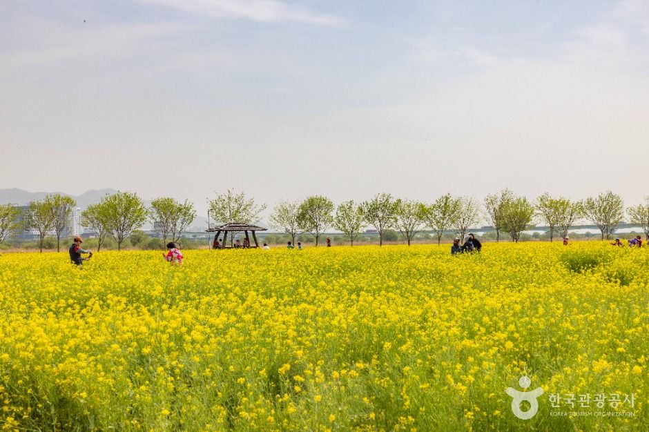 yeskids 1774125514 783 예스키즈존 탐험대 : 실패 없는 육아여행