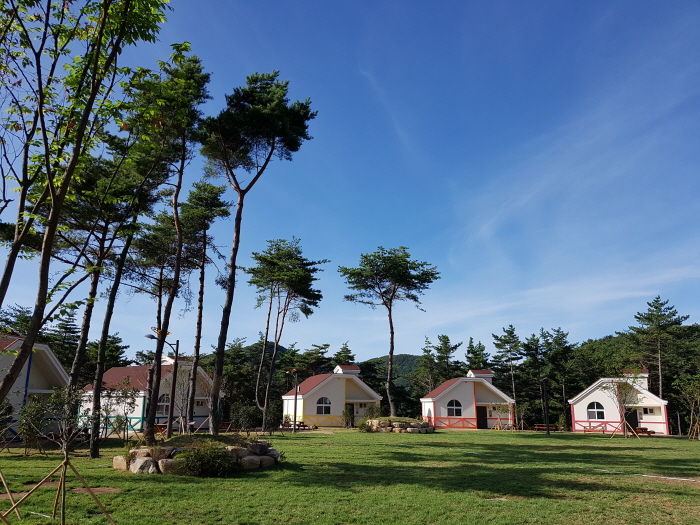 [예스키즈존] 국립 달음산자연휴양림