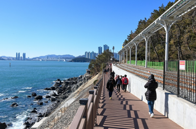 [예스키즈존] 해운대 그린레일웨이 (미포~송정 구간)