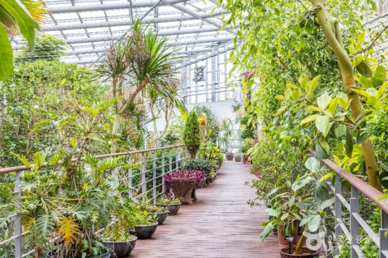 [예스키즈존] 화명수목원