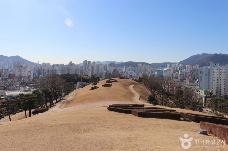 [예스키즈존] 부산 복천동 고분군