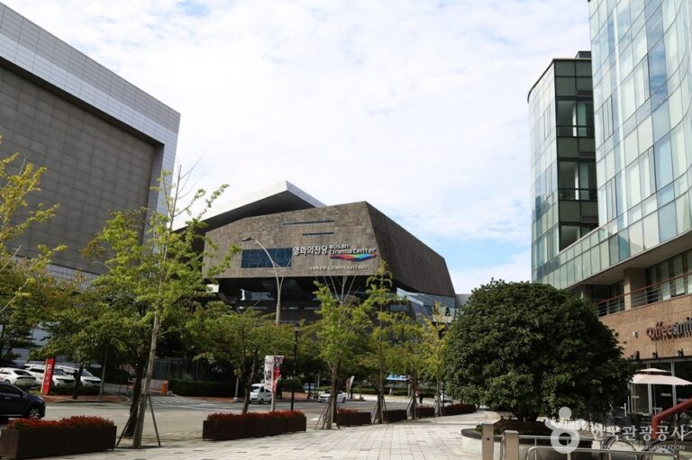 [예스키즈존] 해운대 관광특구