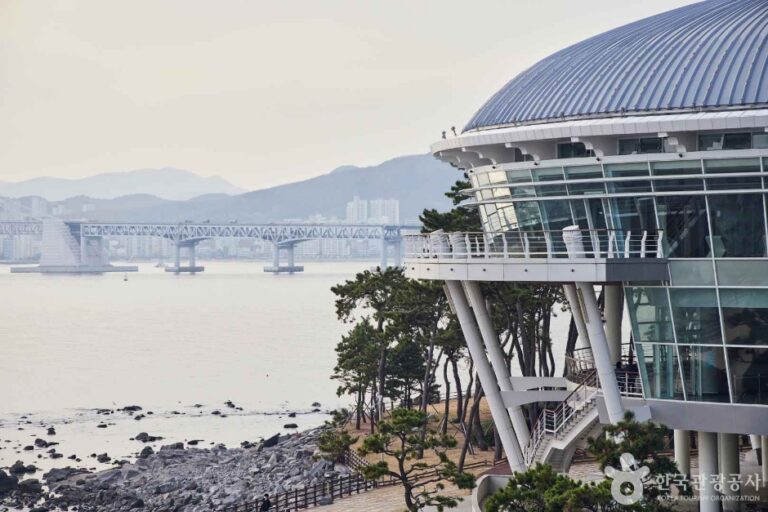 [예스키즈존] 해운대 동백섬