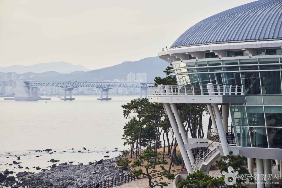 yeskids 1774210914 169 예스키즈존 탐험대 : 실패 없는 육아여행