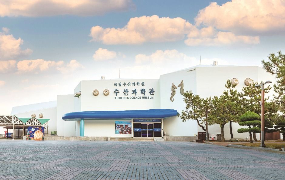 yeskids 1774211120 413 예스키즈존 탐험대 : 실패 없는 육아여행