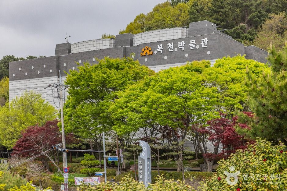 yeskids 1774211234 701 예스키즈존 탐험대 : 실패 없는 육아여행