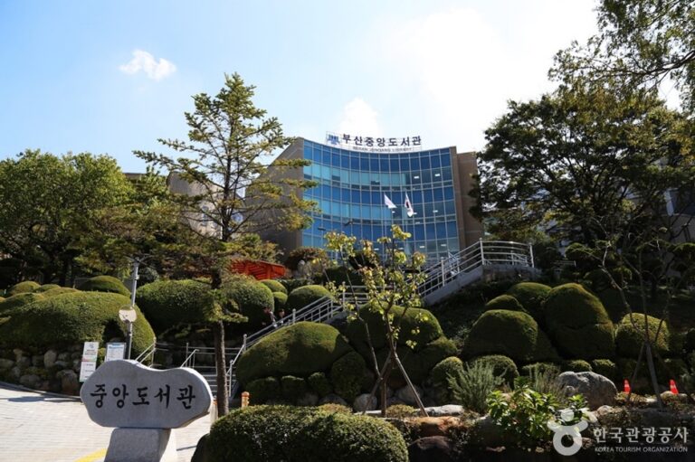 [예스키즈존] 부산광역시립 중앙도서관