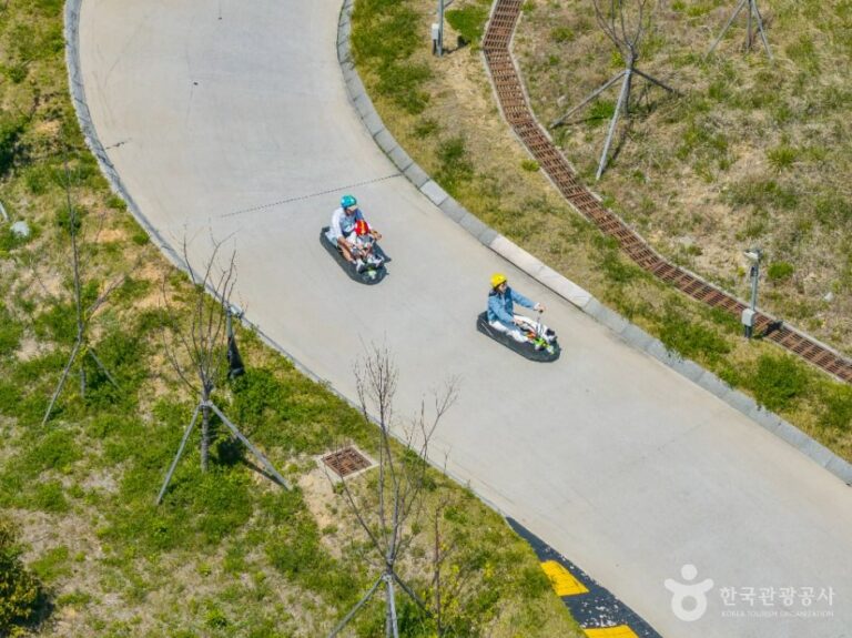 [예스키즈존] 스카이라인 루지 부산